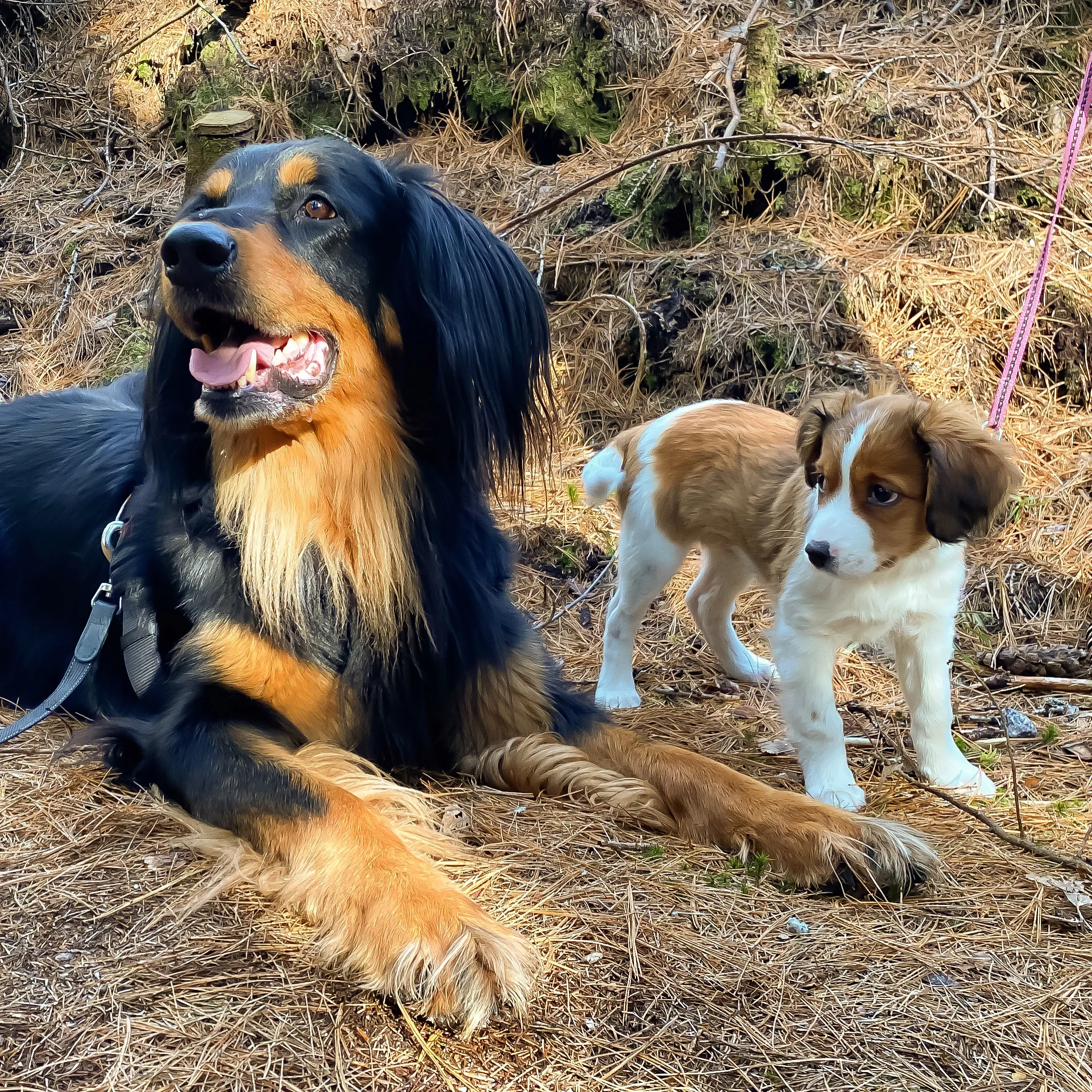Frida ja Wendy