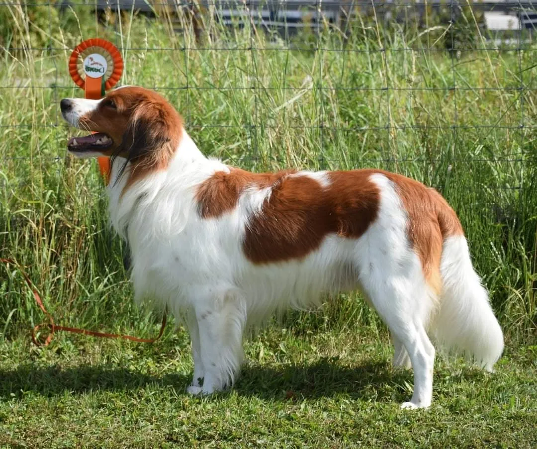 Miltassias Prassel Av Love Time ”Prassel”